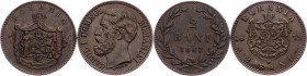 Carol I, 2 Bani 1867, 1879, Heaton, Bucharest