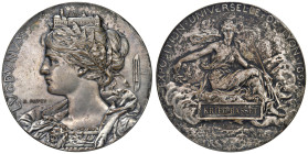 FRANCIA Medaglia 1894 Esposizione universale di Lione - Opus: A. Patey AE argentato (g 120 - Ø 63 mm) 

qSPL