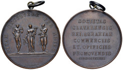 CHIAVARI Medaglia 1791 Fondazione società economica - Opus: F. Putinati AE (g 50,00 - Ø 47 mm) Appiccagnolo. Colpetti al bordo

M.di SPL
