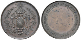 ROMA Medaglia 1882 Esposizione nazionale di prodotti alimentari - Opus: G. Giani AE (g 24,67 - Ø 40 mm) Colpo al bordo.

qSPL