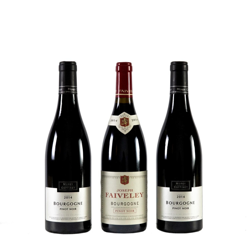 Selezione 2014 Pinot Noir, Borgogna Bourgogne Cote d'Or Pinot Noir, Morey-Coffin...