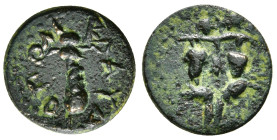 CILICIA, Ninika-Klaudiopolis. Circa 1st century BC. Æ 2,32 g - 15,84 mm
. Two grape bunches on vine / Club..Condition : EXTREMELY FINE SNG Levante 59...