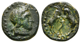 Greek
PISIDIA. Sagalassus. Ae (Circa 1st century BC).
Laureate head of Zeus.
Rev. Two rampant goats. Condition :Fine 2,21 g - 14,95 mm