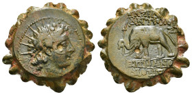 SELEUKID KINGDOM. Antiochos VI Dionysos (144-142 BC). Serrate Ae. Antioch on the Orontes.
Obv: Radiate head right, wearing ivy wreath.
Rev: ΒΑΣΙΛΕΩΣ Α...