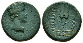 PHRYGIA. Apameia. Augustus (27 BC-AD 14). Ae. Attalus, son of Diotrephus, magistrate.
Obv: ΑΠΑΜΕΩΝ.
Bare head right.
Rev: ATTAΛΟΣ ΔΙΟΤΡΕΦΟΥ.
Two tied ...