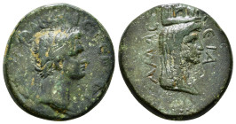 PONTUS, Amasea, Domitian (81-96 AD)
AE10,00 g - 23,30 mm 
Obv: laureate head of Domitian.
Rev: veiled head of Tyche. Condition : Fine.