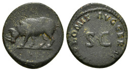 DOMITIAN (81-96). Quadrans. Rome.
Obv: Rhinoceros advancing left.
Rev: IMP DOMIT AVG GERM.
Large S C.
RIC² 250.
Condition: Very fine. 2,31 g - 16,20 m...