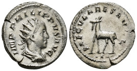 Philip II, as Caesar AD 244-246. Rome
Antoninianus AR
IMP PHILIPPVS AVG, radiate, draped and cuirassed bust to right / SAECVLARES AVGG, goat standing ...