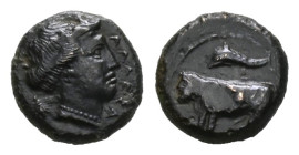 Sicily, Alaisa Katane. Ae, 6.14 g 16.98 mm. Circa late 4th - early 3rd century BC. 
Obv: Head of nymph to right, wearing necklace; bee behind, ΑΛΑΕΣΑ ...