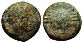 Sicily, Motya. Ae Onkia or Hexas(?), 2.14 g 11.36 mm. Circa 400-397 BC. 
Obv:Bearded male head right 
Rev: Crab. 
Ref: Jenkins, Punic, pl. 23, 14; Cam...
