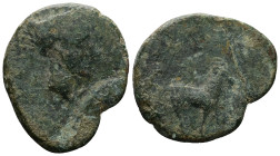 Sicily. Nakona. Ae, 3.58 g 19.74 mm. Circa 300-200 BC.
Obv: Head of nymph right, grain before 
Rev: Ram standing right. Olive leaf.
Ref:CNS 5.
Near Fi...