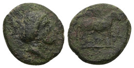Sicily, Nakona. Ae, 4.37 g 17.11 mm. Circa 330-310 BC. 
Obv: Female head to right 
Rev: Ram standing to right; barley grain to right. 
Ref: Campana 5;...