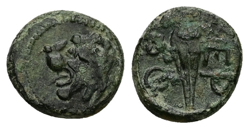 Thrace, Chersonesos. Ae, 1.96 g 13.06 mm. Circa 386-309 BC.
Obv: Head of lion le...