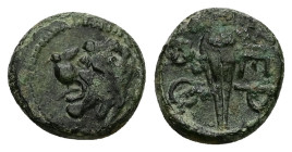 Thrace, Chersonesos. Ae, 1.96 g 13.06 mm. Circa 386-309 BC.
Obv: Head of lion left.
Rev: XEP / PO. Grain ear.
Ref: SNG Copenhagen 844-5; HGC 3.2, 1439...