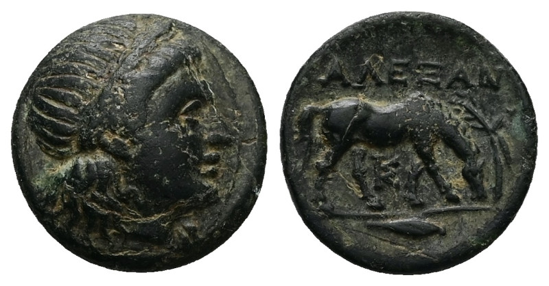 Troas, Alexandreia. Ae, 3.71 g 16.94 mm. 3rd century BC.
Obv: Laureate head of A...