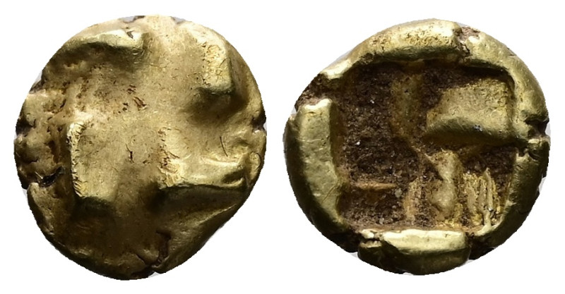 Ionia, Uncertain. EL 1/24 Stater. 0.65 g 7.12 mm. Circa 625-600 BC.
Obv: Raised ...