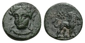 Ionia, Miletos. Ae, 2.27 g 13.37 mm. Circa 260-220 BC. Uncertain magistrate.
Obv: Laureate and draped bust of Apollo facing slightly left
Rev: Lion st...