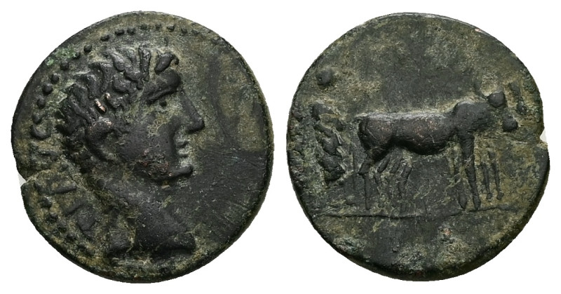 Macedon, Philippi. Tiberius, AD 14-37. AE. 3.08 g. 17.60 mm.
Obv: TI AVG. Bare h...