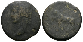 Ionia, Smyrna. Antinous, died AD 130. AE. 30.01 g. 36.91 mm. Candidus, strategos.
Obv: Bare head of Antinous, left.
Rev: Panther, left.
Ref: RPC 17...