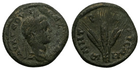 Cappadocia, Caesaraea-Eusebia. Severus Alexander, AD 222-235. AE. 5.92 g. 20.59 mm.
Obv: ΑΥ Κ ϹƐΟΥΗ ΑΛƐΞΑΝΔ. Laureate and draped bust of Severus Alexa...