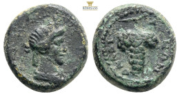 LYDIA. Daldis. Pseudo-autonomous. Time of Septimius Severus (193-211). Ae.
Obv: Turreted and draped bust of Tyche right.
Rev: ΔAΛΔIANΩN.
Grape bunch.
...