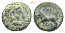 PISIDIA, Komama. 1st century BC. Æ . Laureate head of Zeus right / Lion left. Von Aulock, KM VI, 4; SNG BN 1439. 2,66g 13,6 mm