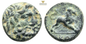 PISIDIA, Komama. 1st century BC.
Jugate laureate male (Zeus) heads right / Lion standing righ 2,30g 12,6 mm