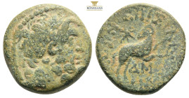 SYRIA - SELEUCIA AND PIERIA - ANTIOCH - AUGUSTUS...Bronze
5-12 Syria, Seleucia and Pieria, Antioch (Antiochia ad Orontem
reference: BMC.68 - RPC.4265
...