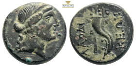 PHRYGIA. Laodicea. Ae (Circa 133/88-67 BC).
Obv: Diademed female head right.
Rev: ΛAOΔIKEΩN.
Double cornucopia.
BMC 32. 7,81g 19,5 mm