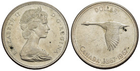 CANADA. Dollaro 1967 Oca selvaggia KM 70. Ag. qFDC