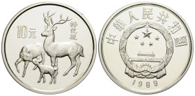 Republik / Republic
 10 Yuan 1989. 40.0 mm. Series: Silber / Silver 0.925. Rare Animal Sika Deer. KM 254. 27.00 g. Leichte Berührungsspur / Minor con...