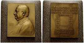 Pfalz
 Messingmedaille / Brass medal 1913. 55.0 X 70.0 mm. Rechteckige Bronzeplakette / Rectangular bronze plaque. An das 25. Dienstjubiläum Dr. Paul...