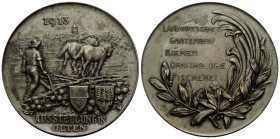 Solothurn Stadt und Kanton
 Bronzemedaille versilbert / Bronze medal silver-plated 1913. 45.0 mm. AUSSTELLUNG IN OLTEN. Rv. Legend: LANDWIRTSCHAFT GA...