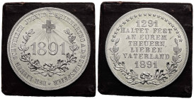 Medaillen / Medals
 Weissmetallmedaille / White metal medal 1891. 37.6 mm. Der Lieben Schweizer Jugend zur Erinnerung an die Bundesfeier. Switzerland...