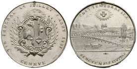 Schützentaler & Schützenmedaillen / Shooting talers & Shooting medals Genf / Geneva / Genève
 Zinnmedaille / Tin medal 1887 36.0 mm. (PB/SN). Tir féd...