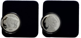 New York
 Silber / Silver Buffalo Proof Set 2001 1. 1 Unze / oz. Silber / Silver 0.999 Fein Buffalo Proof, uncirculated, Copy no. CF0019. 2. versilbe...