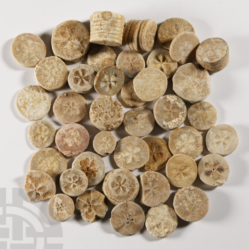 Egyptian Limestone Floral Inlay Group
Roman Period, 30 B.C.-323 A.D. Group of d...