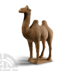 Chinese Tang Terracotta Camel