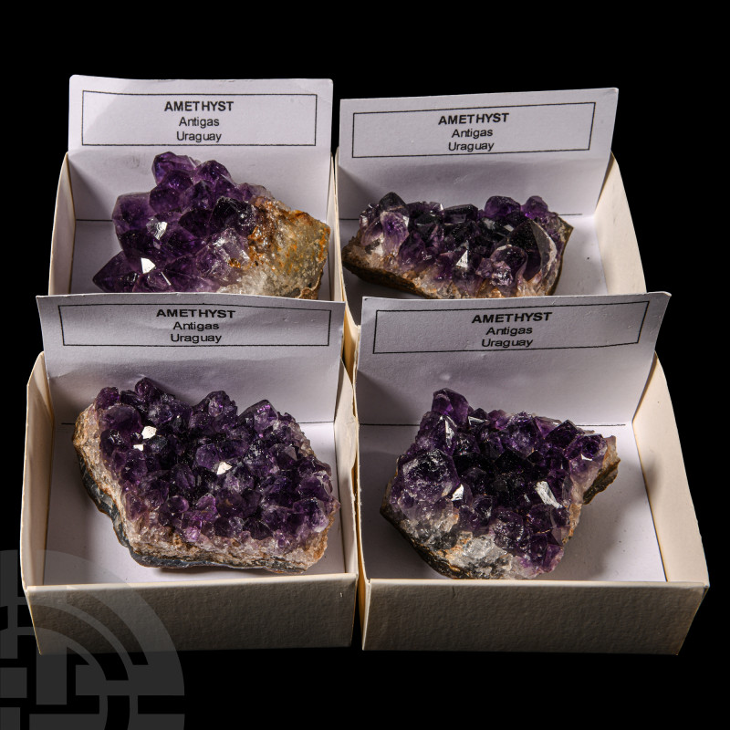 Natural History - Boxed Amethyst Crystal Display Specimen Group [4]
All four sp...