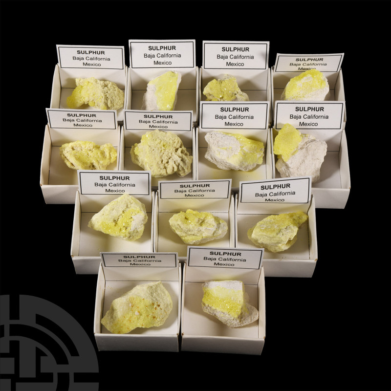 Natural History - Boxed Sulphur Specimen Group [13]
On white calcite matrix; ea...