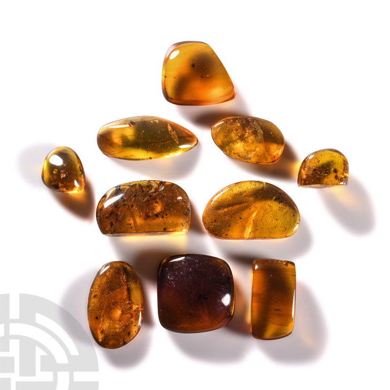 Natural History - Amber Group with Insect Inclusions
Oligocene Period, circa 45...