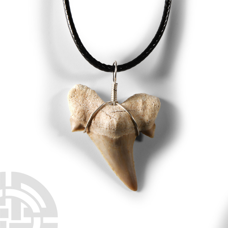 Natural History - Otodus Fossil Shark Tooth Necklace
Eocene Period, circa 56-33...