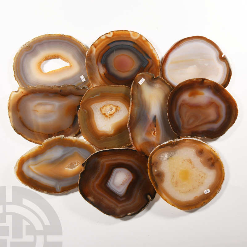 Natural History - Polished Agate Crystal Slice Group [10]
Each cut to expose th...