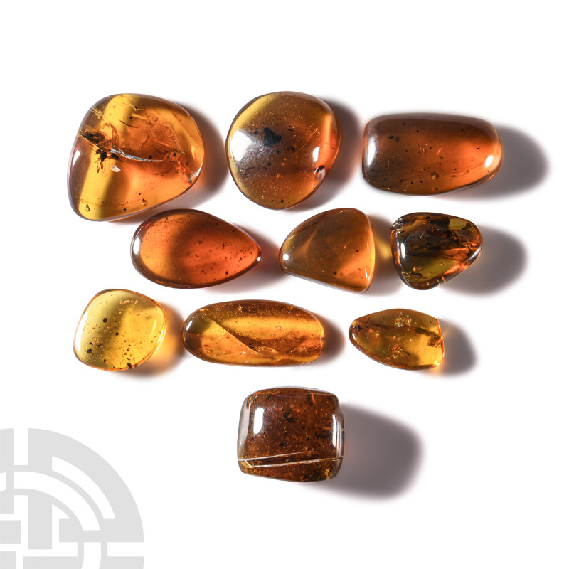 Natural History - Amber Group with Insect Inclusions
Oligocene Period, circa 45...