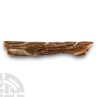 Natural History - Mammoth Tusk Section