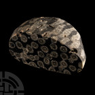 Natural History - 'Irish' Cut and Polished Coral Reef Pebble