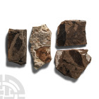 Natural History - Fossil Leaf Group