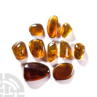 Natural History - Amber Group with Insect Inclusions