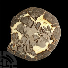 Natural History - Large Cut and Polished Septarian Egg Half