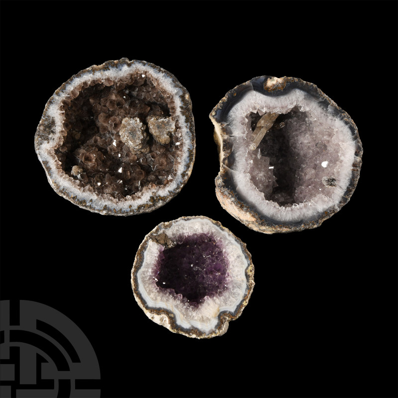 Natural History - Cut and Polished Agate Crystal Geode Half Group [3]
Each fill...